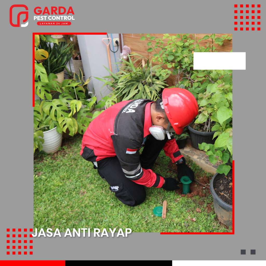 Anti Rayap di Pekalongan Utara Terbaik