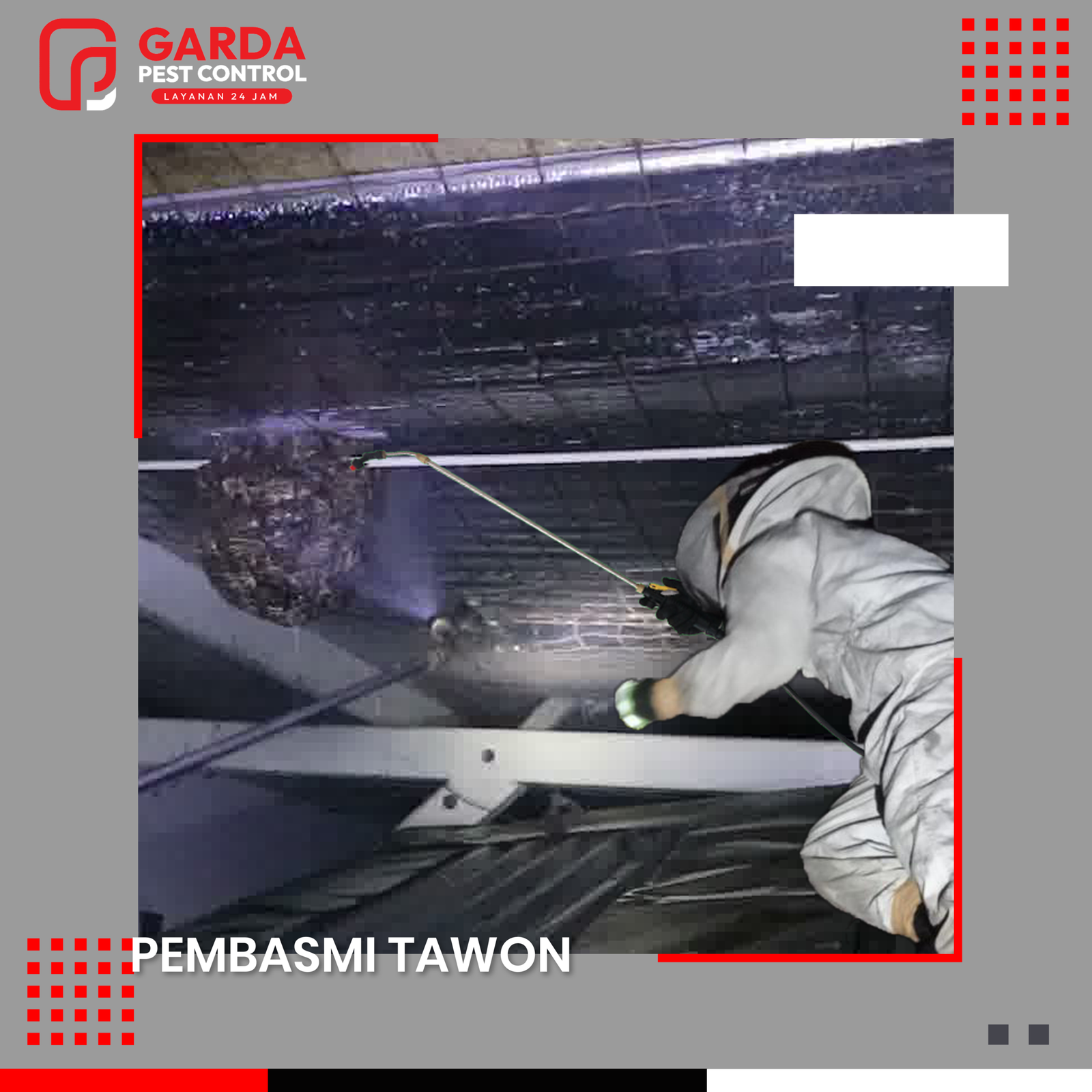 Jasa Pembasmi Tawon di Pekalongan Proses Cepat dan Aman