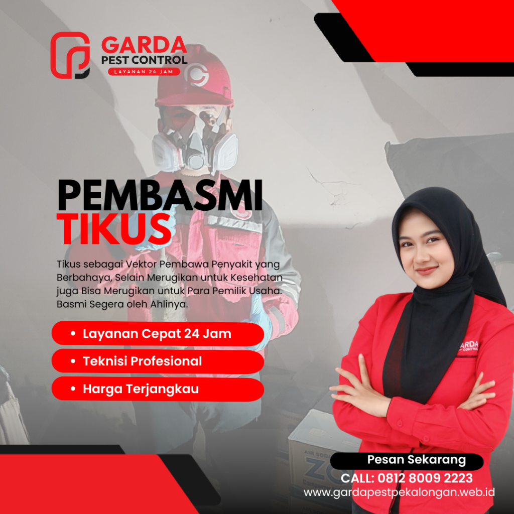Jasa Pembasmi Tikus di Pekalongan Layanan 24 Jam