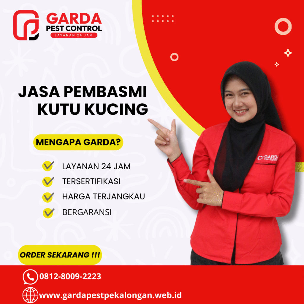 jasa pembasmi kutu kucing