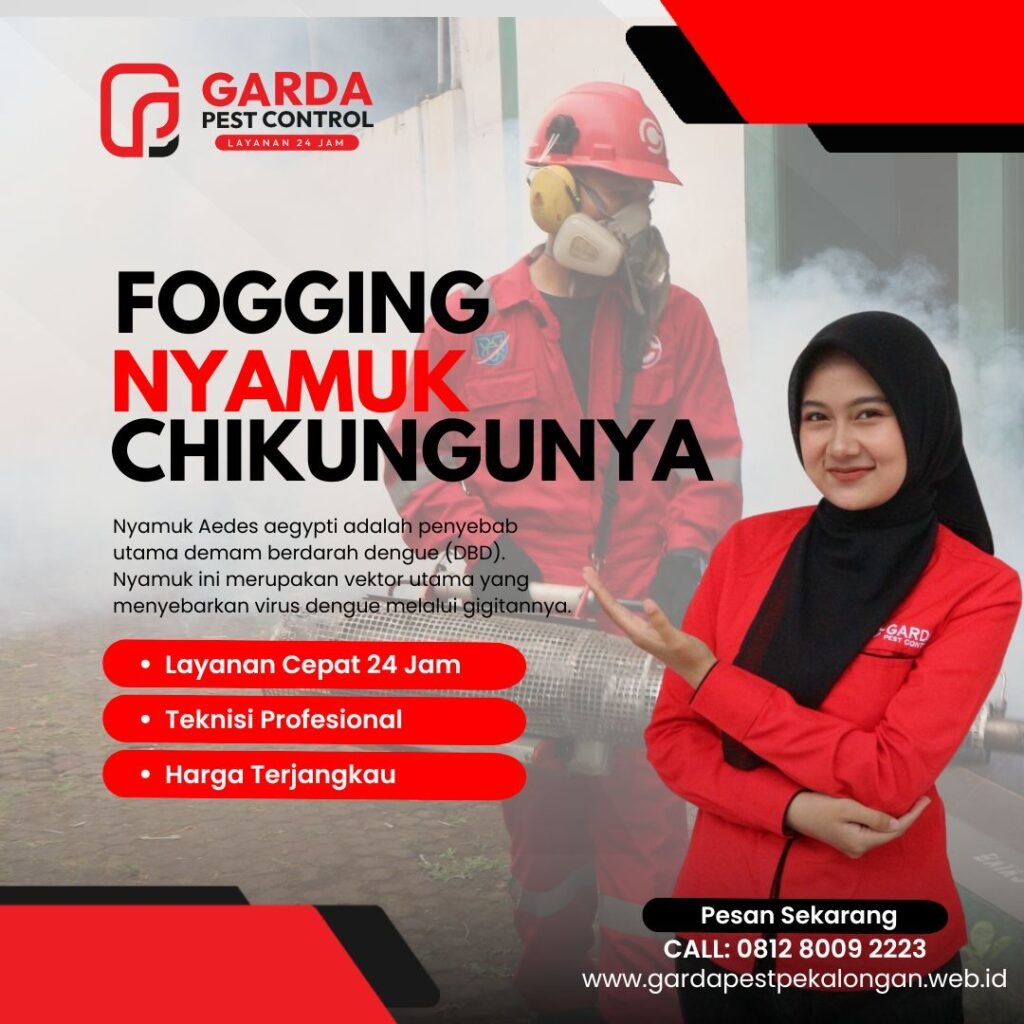 Jasa Fogging Nyamuk Chikungunya Buaran Pekalongan
