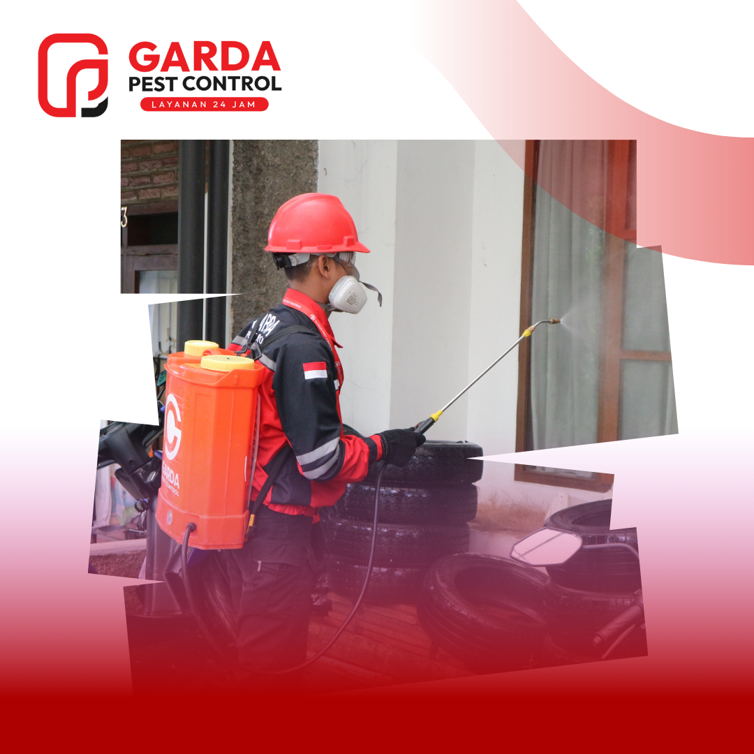 Jasa Pembami Kutu Anjing di Pekalongan Bergaransi