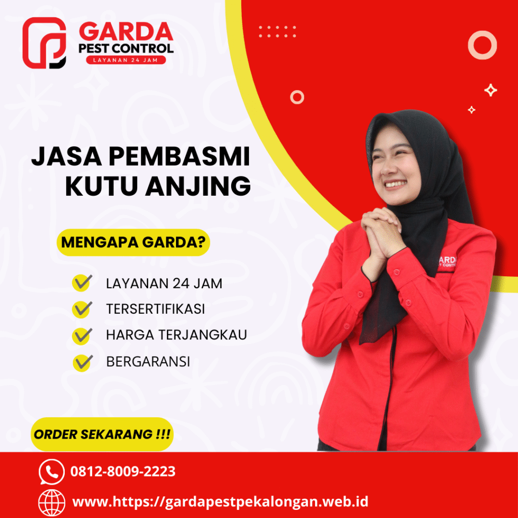 Jasa Pembami Kutu Anjing di Pekalongan Bergaransi