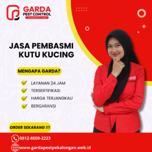 Aman dan Tuntas: Solusi Pembasmi Kutu Kucing di Pekalongan oleh Garda Pest Control — Bergaransi