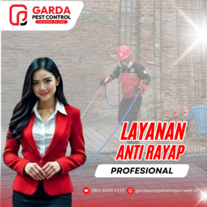 Jasa Anti Rayap Pekalongan Lindungi Furnitur Anda dari Kerusakan