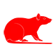Jasa Pembasmi Tikus