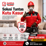 Jasa Pembasmi Kutu Kasur Pekalongan: Solusi Cepat Atasi Gangguan Tidur dan Gatal