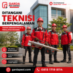 Jasa Fogging Nyamuk Pabrik dan Kantor Pekalongan 
