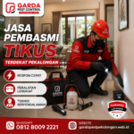 Jasa Pembasmi Tikus di Pekalongan Barat Profesional dan Terpercaya