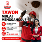 Jasa Pembasmi Tawon di Pekalongan Proses Cepat dan Aman